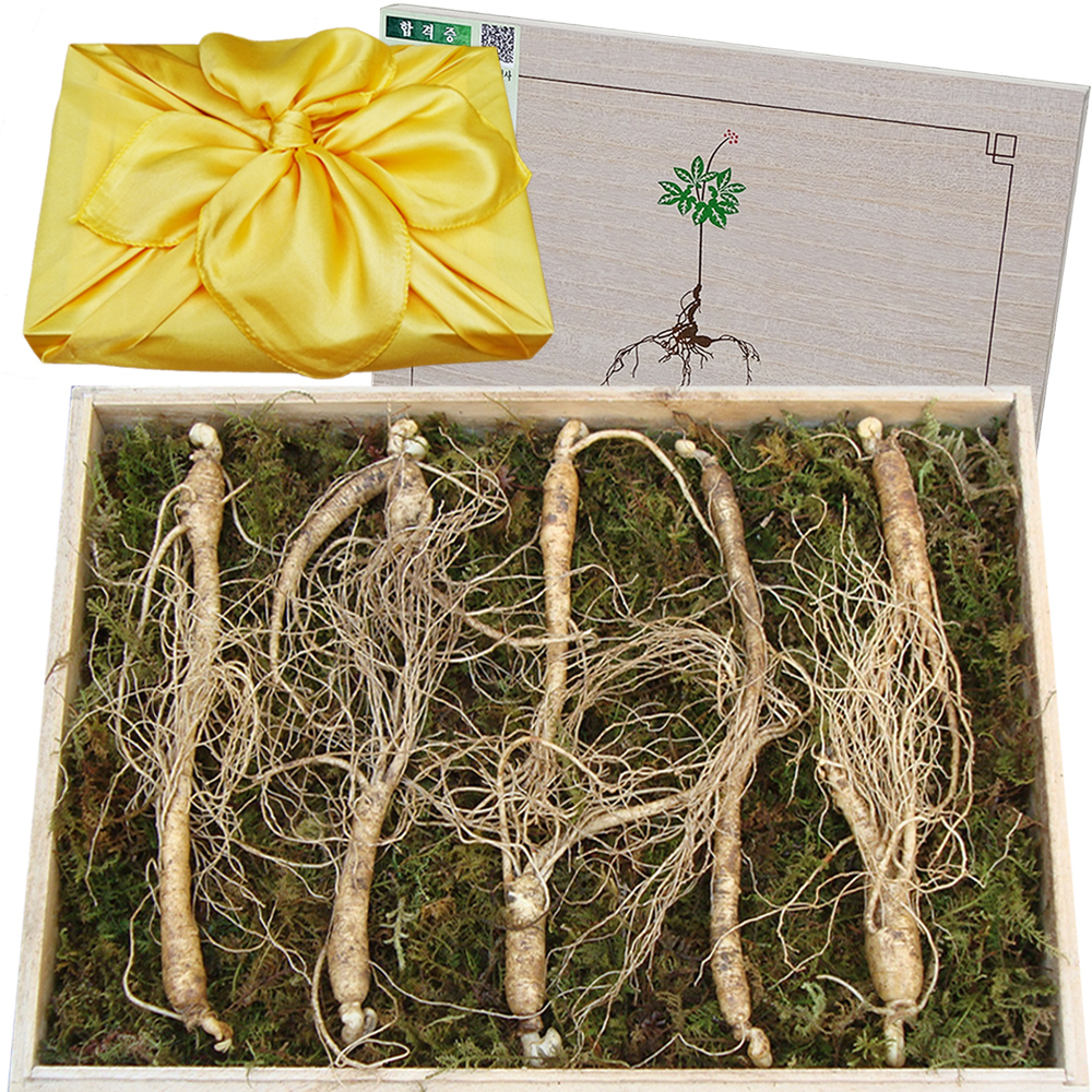 아리아리산삼 6년근 10뿌리 장뇌삼 산양산삼 산양삼 자연산 선물세트