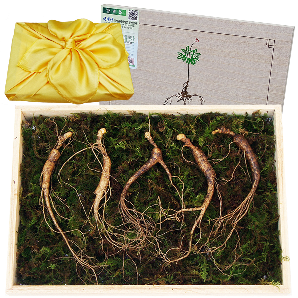 아리아리산삼 6년근 10뿌리 장뇌삼 산양산삼 산양삼 자연산 선물세트