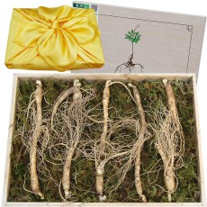 아리아리산삼 6년근 10뿌리 장뇌삼 산양산삼 산양삼 자연산 선물세트