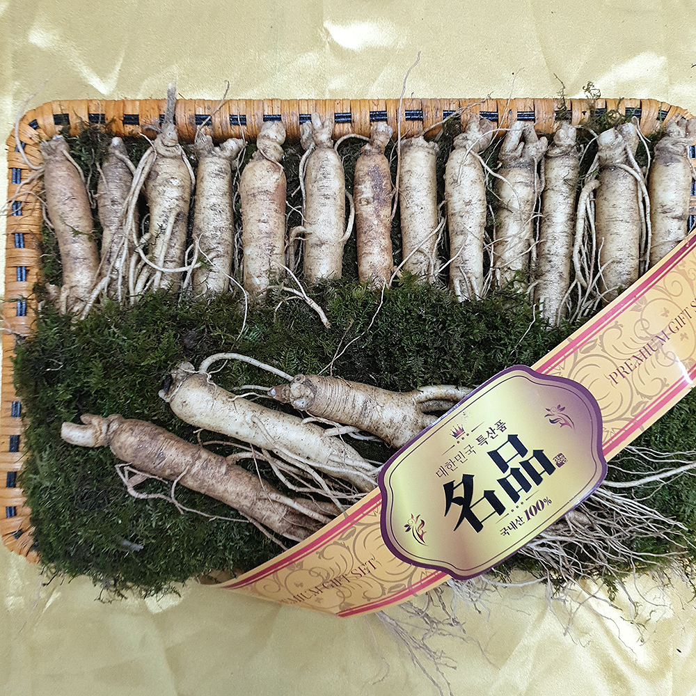 인삼 수삼 금산인삼 도매시장 세척 원수삼 소 한채