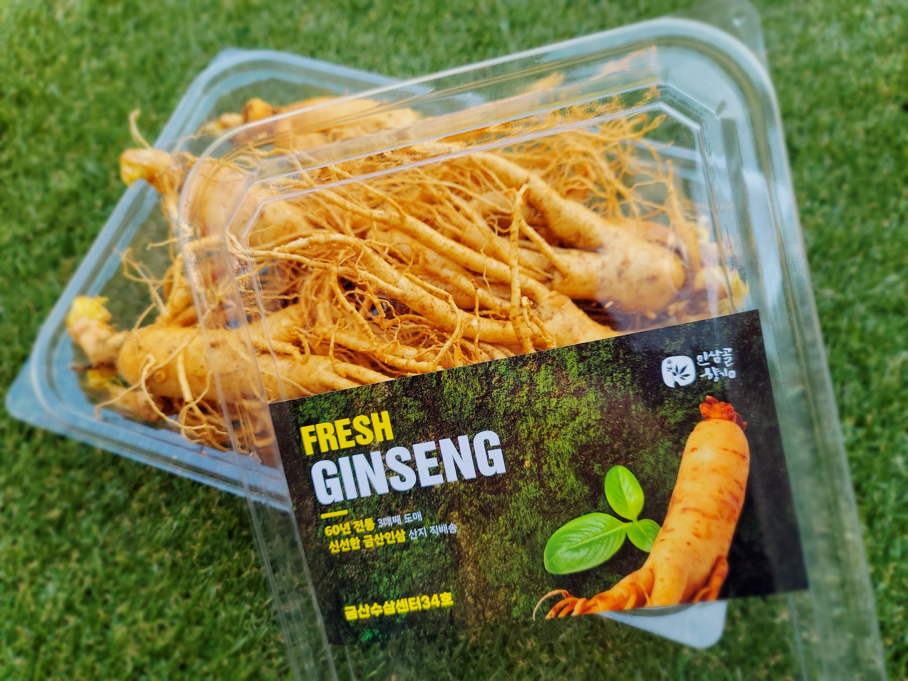 인삼 수삼 파삼 6년근 인삼주 강화 도매시장 파지 1KG