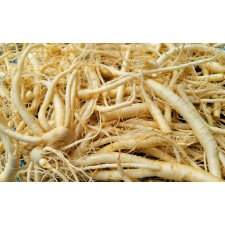 가정용 인삼 파지 500g 세척