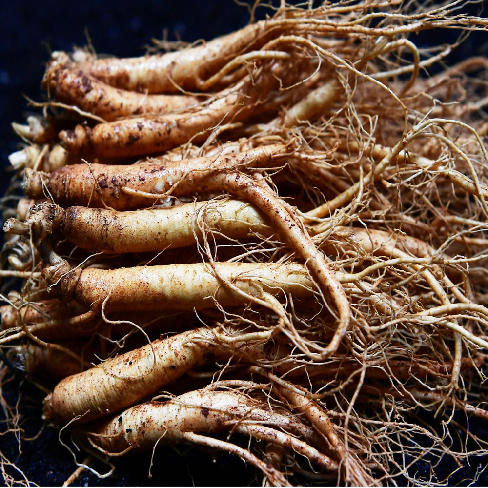 금산 참 인삼 수삼 난발삼 500g 세척 진공포장