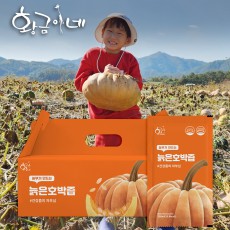 물넣지않은 늙은 호박즙 100ml 30포 진액 엑기스