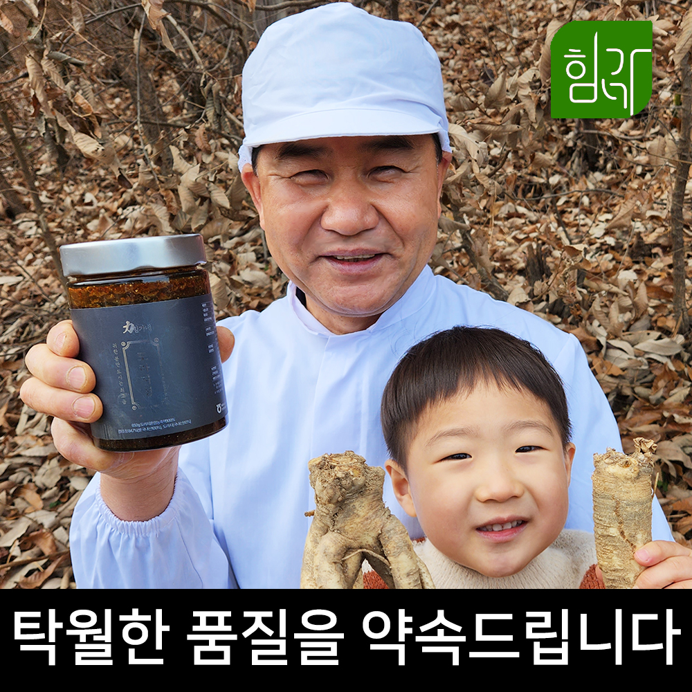 힘가네 도라지청 약도라지청 국산 650g