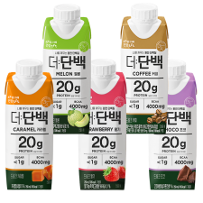 더 단백 드링크 초코6 커피3 카라멜3 딸기3 멜론3 250ml 18개 마시는 단백질 음료